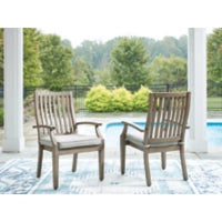 Rainier Ranch Arm Chair With Cushion (2/CN) (P701-601A)