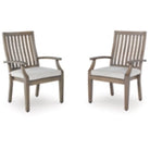 Rainier Ranch Arm Chair With Cushion (2/CN) (P701-601A)
