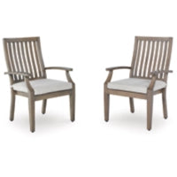 Rainier Ranch Arm Chair With Cushion (2/CN) (P701-601A)